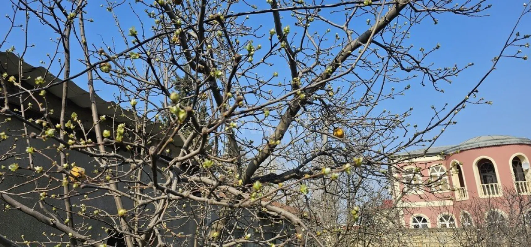 Satılır torpaq sahəsi 7 m²