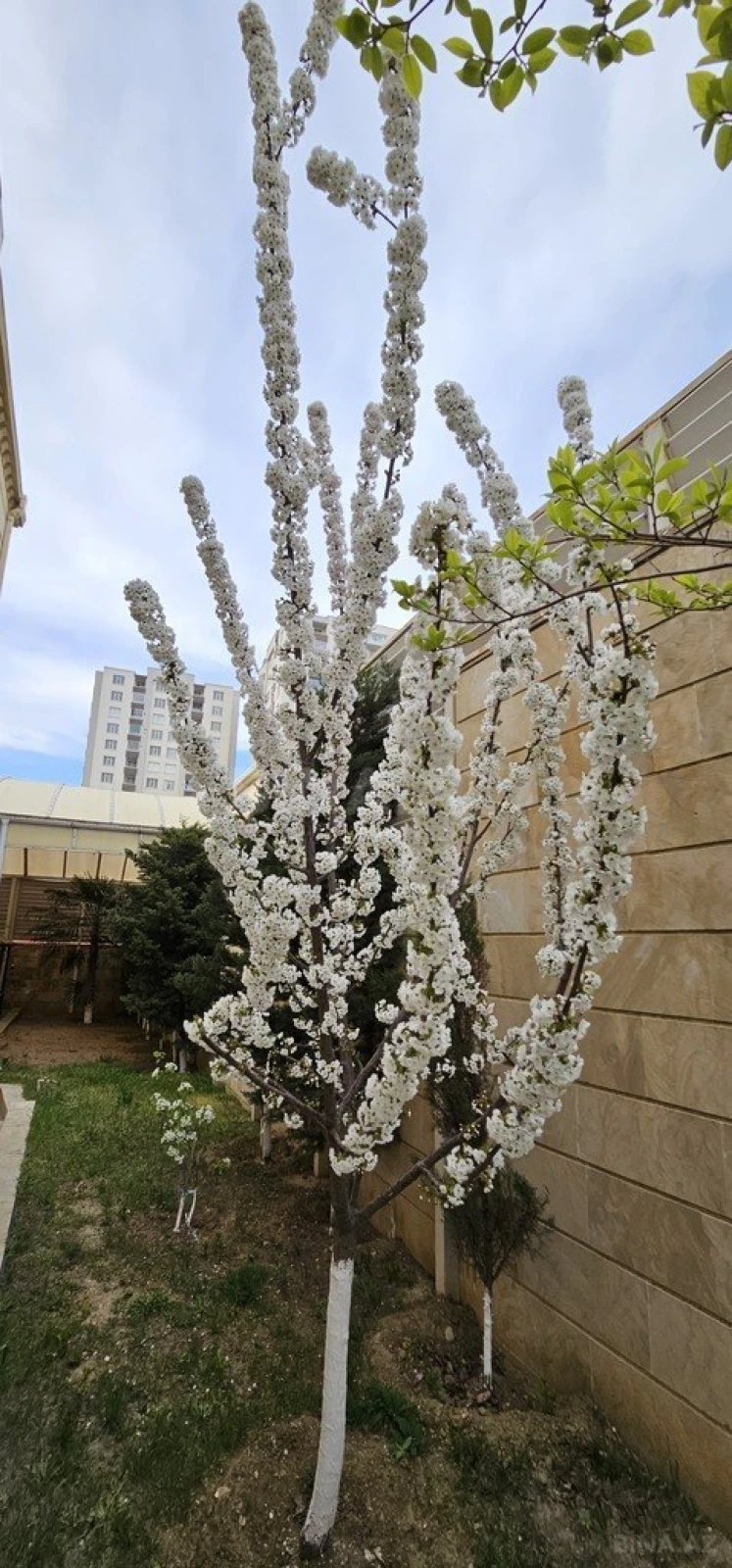 Satılır 6 otaqlı həyət evi 400 m²