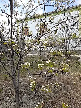 Satılır 6 otaqlı həyət evi 480 m²