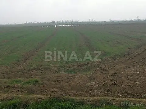 Satılır torpaq sahəsi 131 m²