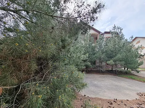 Satılır həyət evi 450 m²