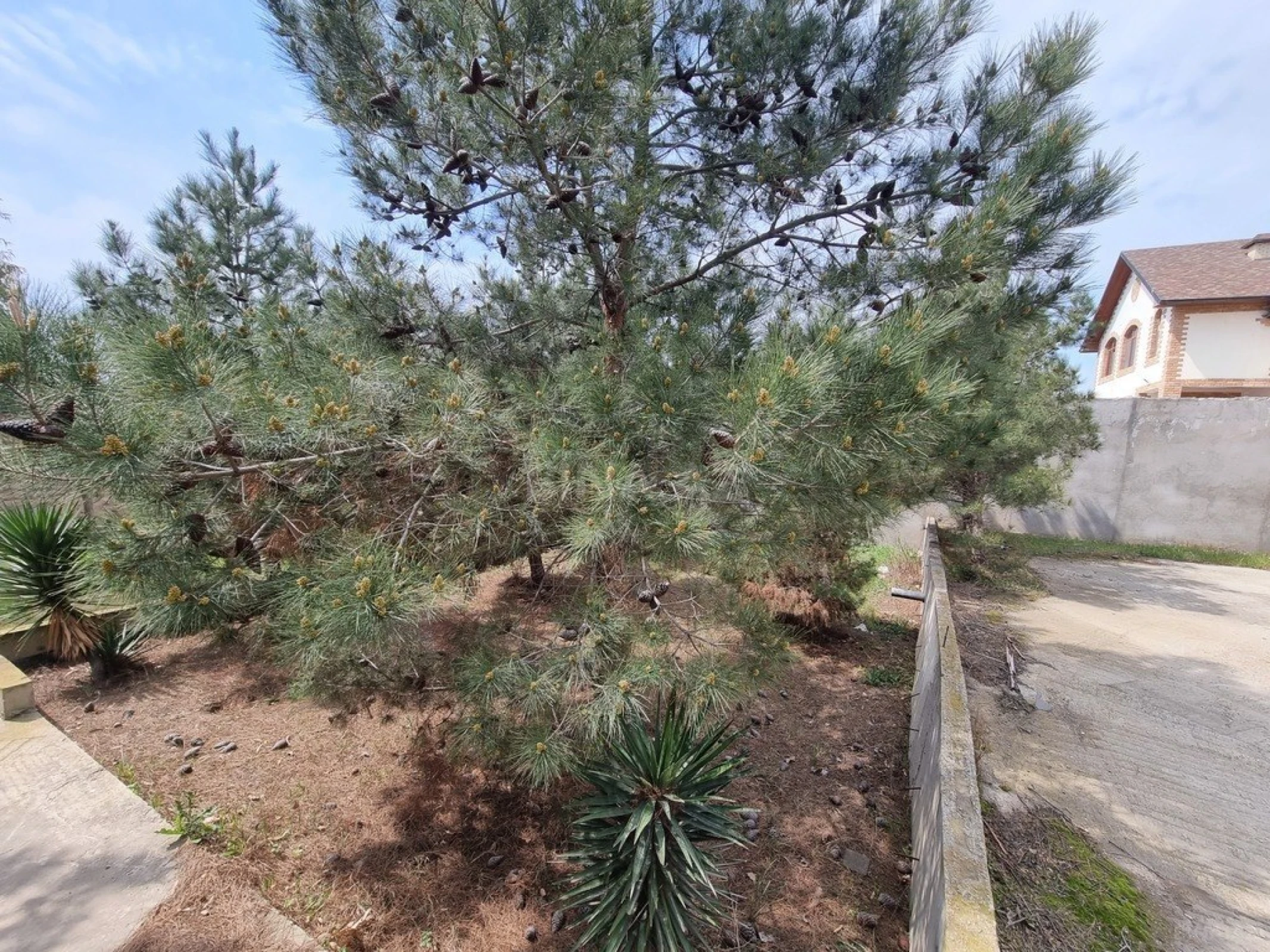 Satılır həyət evi 450 m²