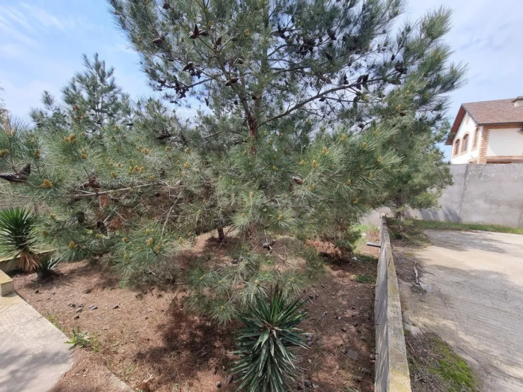 Satılır həyət evi 450 m²