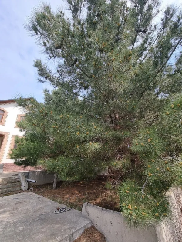 Satılır həyət evi 450 m²