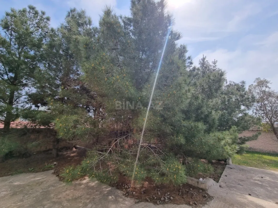 Satılır həyət evi 450 m²