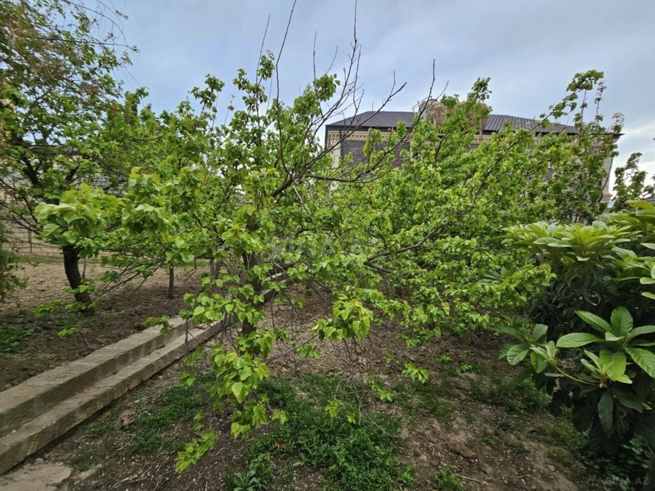 Satılır torpaq sahəsi 30 m²