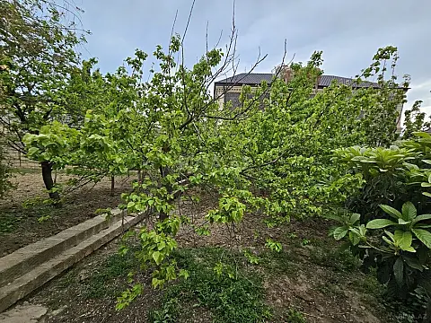 Satılır torpaq sahəsi 30 m²