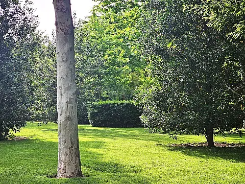 Satılır torpaq sahəsi 175 m²