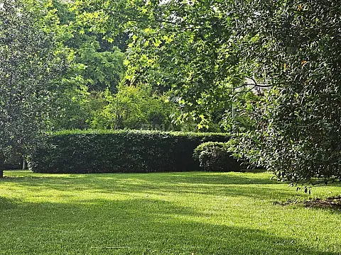 Satılır torpaq sahəsi 175 m²