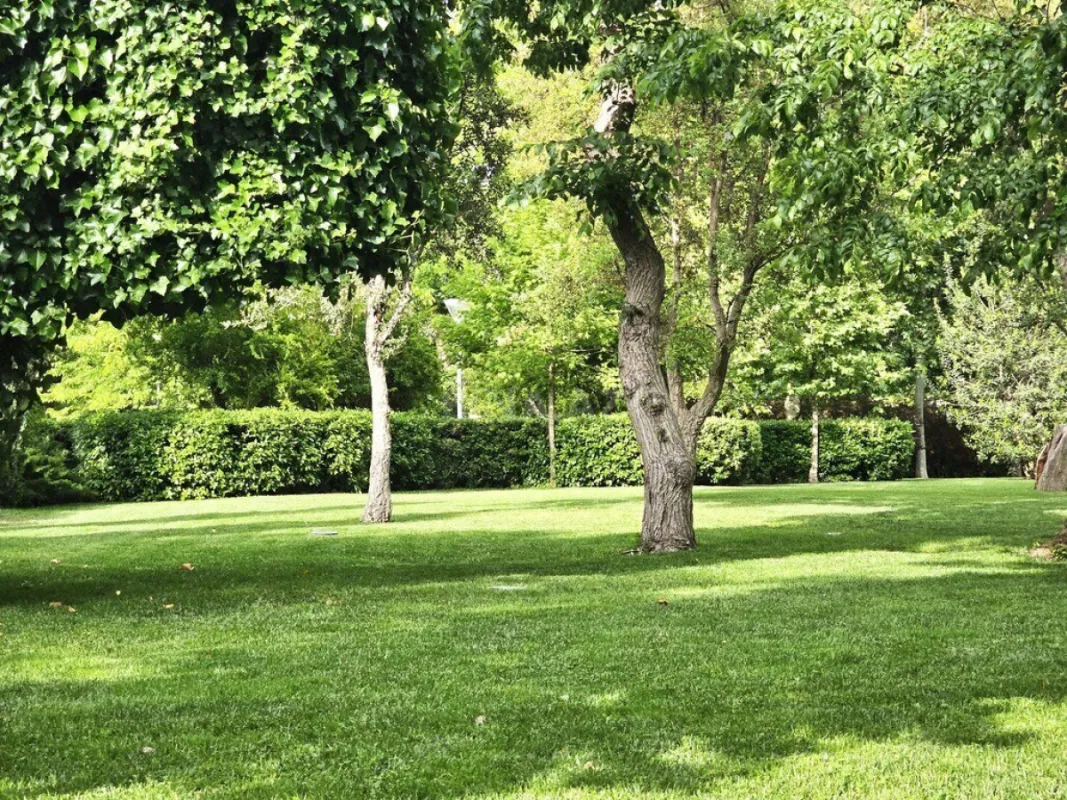 Satılır torpaq sahəsi 175 m²