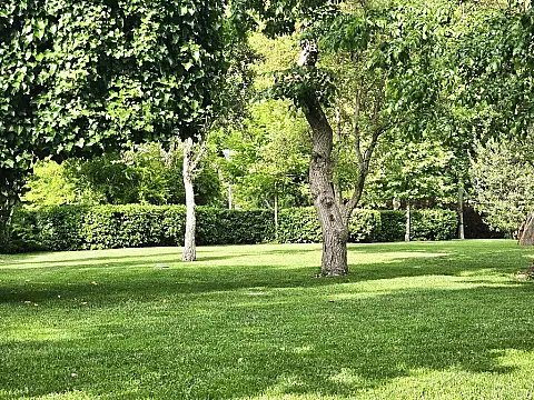 Satılır torpaq sahəsi 175 m² — Bakı, Bilgəh 175.00 m²