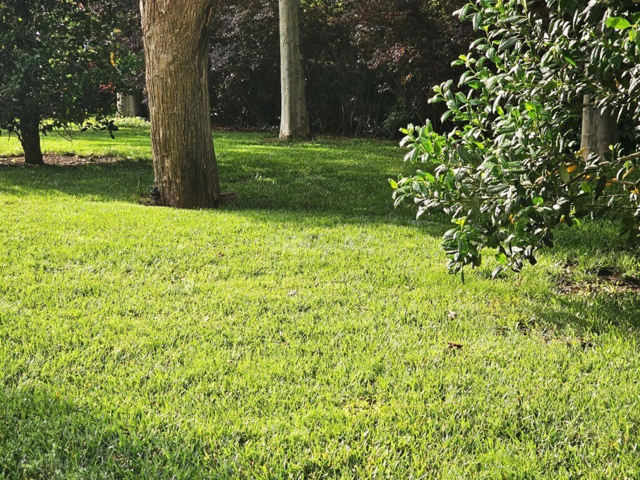 Satılır torpaq sahəsi 175 m²