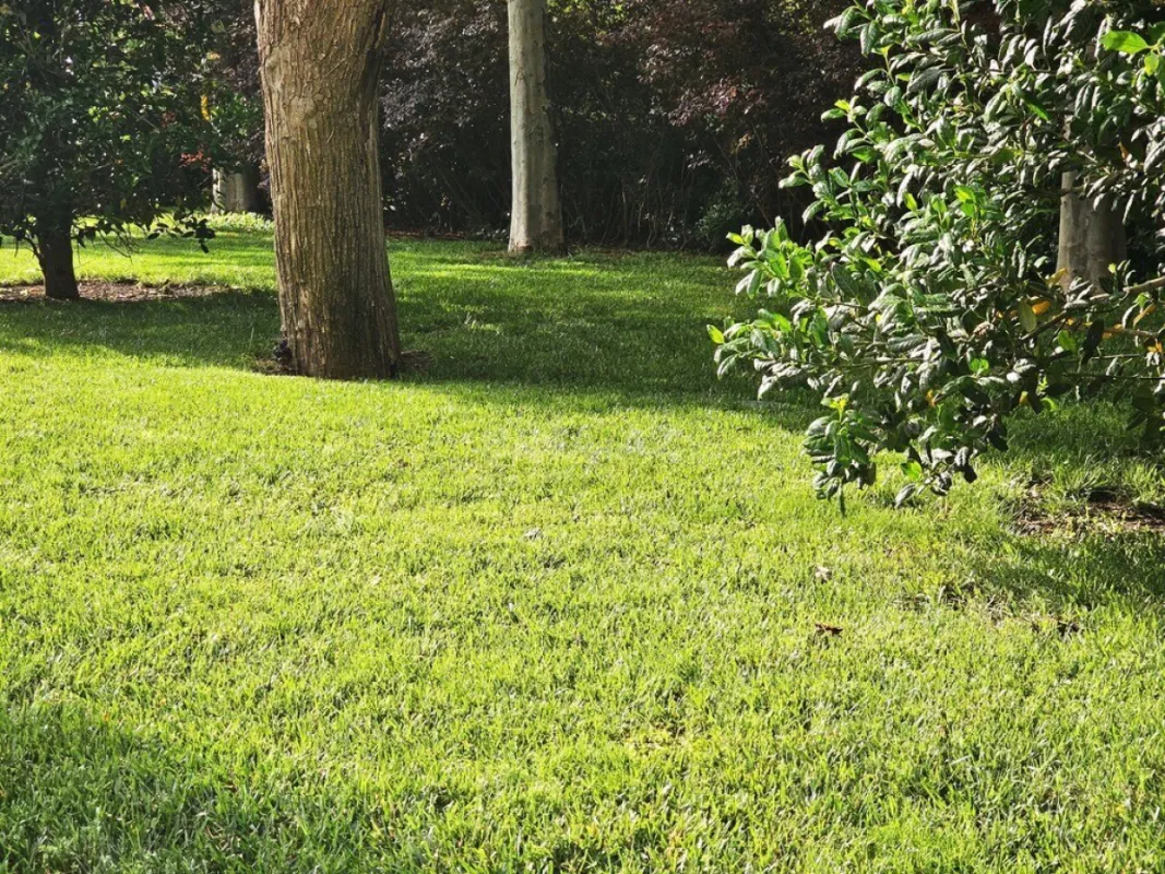 Satılır torpaq sahəsi 175 m²