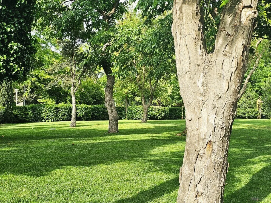 Satılır torpaq sahəsi 175 m²