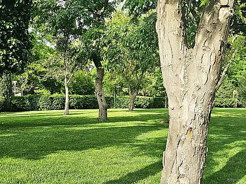 Satılır torpaq sahəsi 175 m²