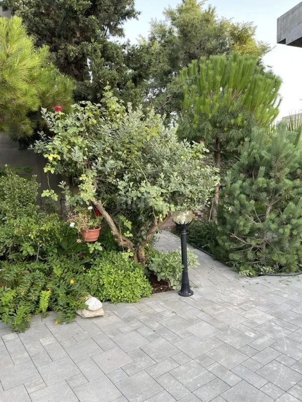 Kirayə verilir 4 otaqlı həyət evi 150 m²