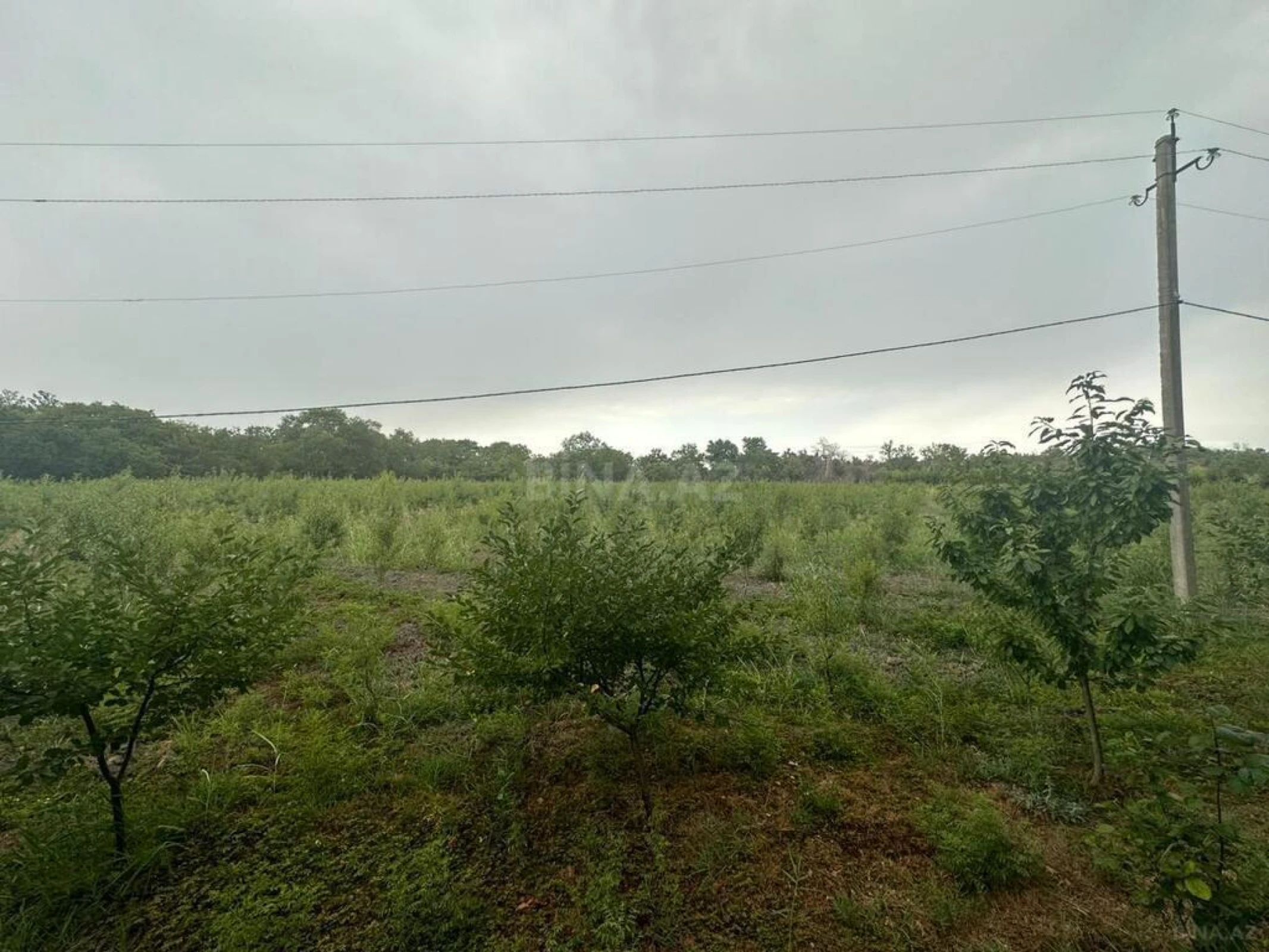 Satılır obyekt 800 m²