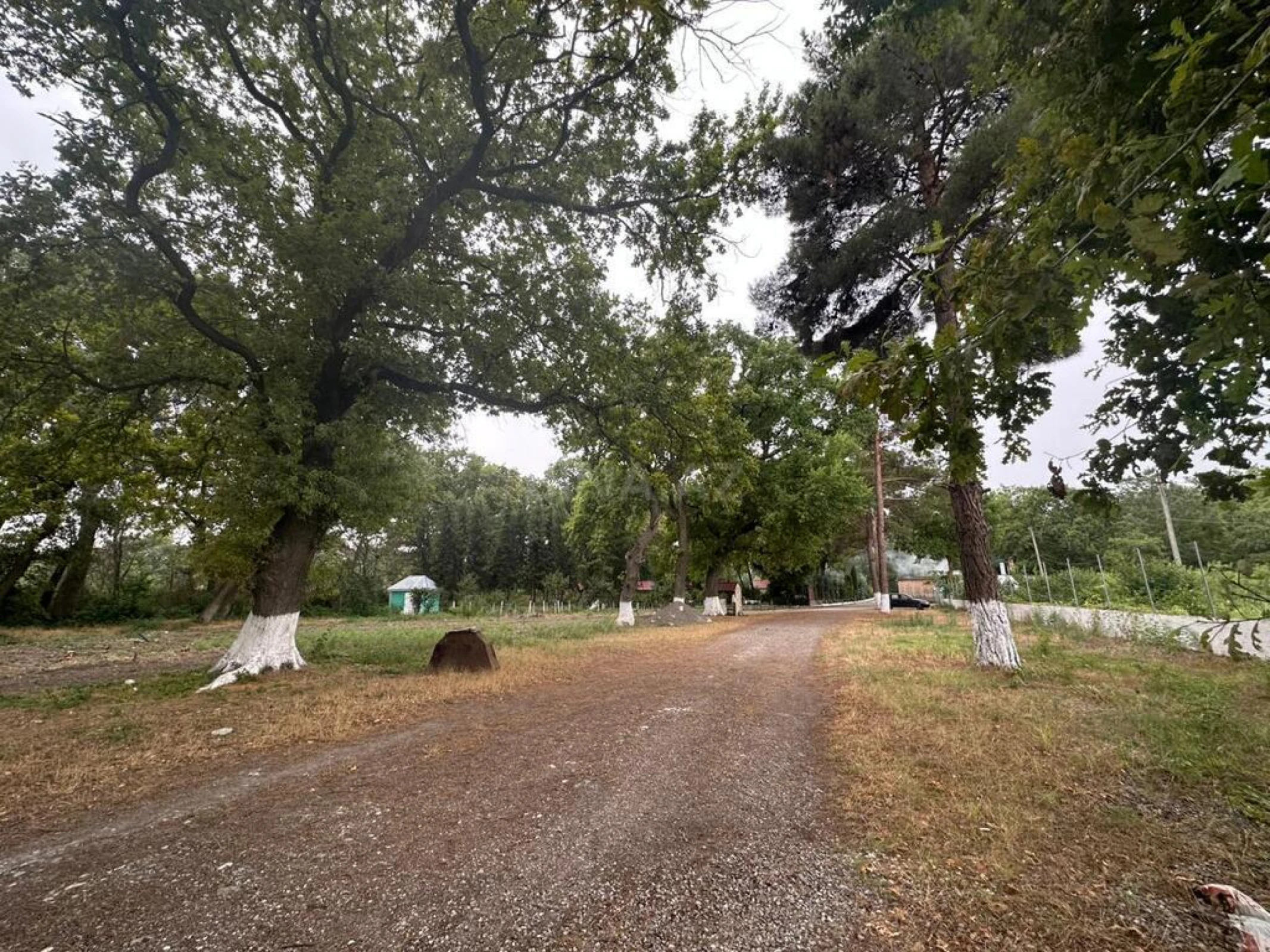 Satılır obyekt 800 m²