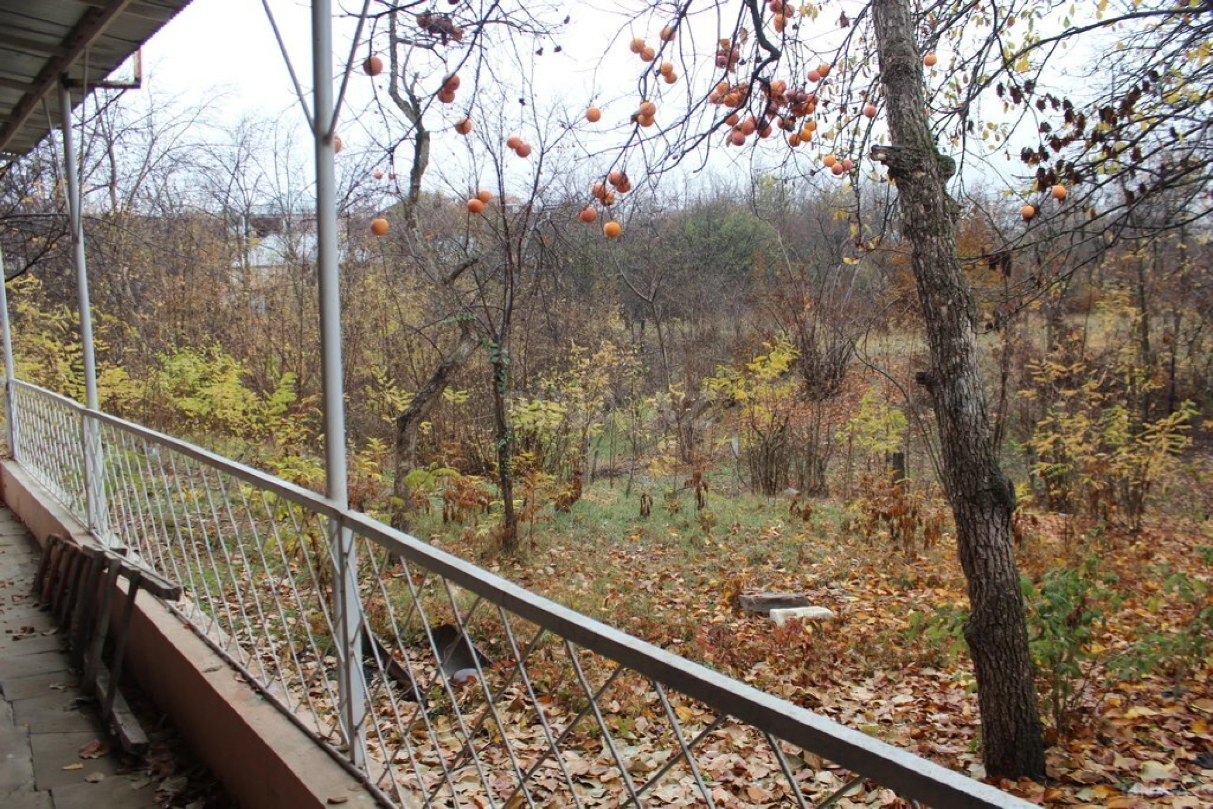 Satılır 2 otaqlı həyət evi 74 m²