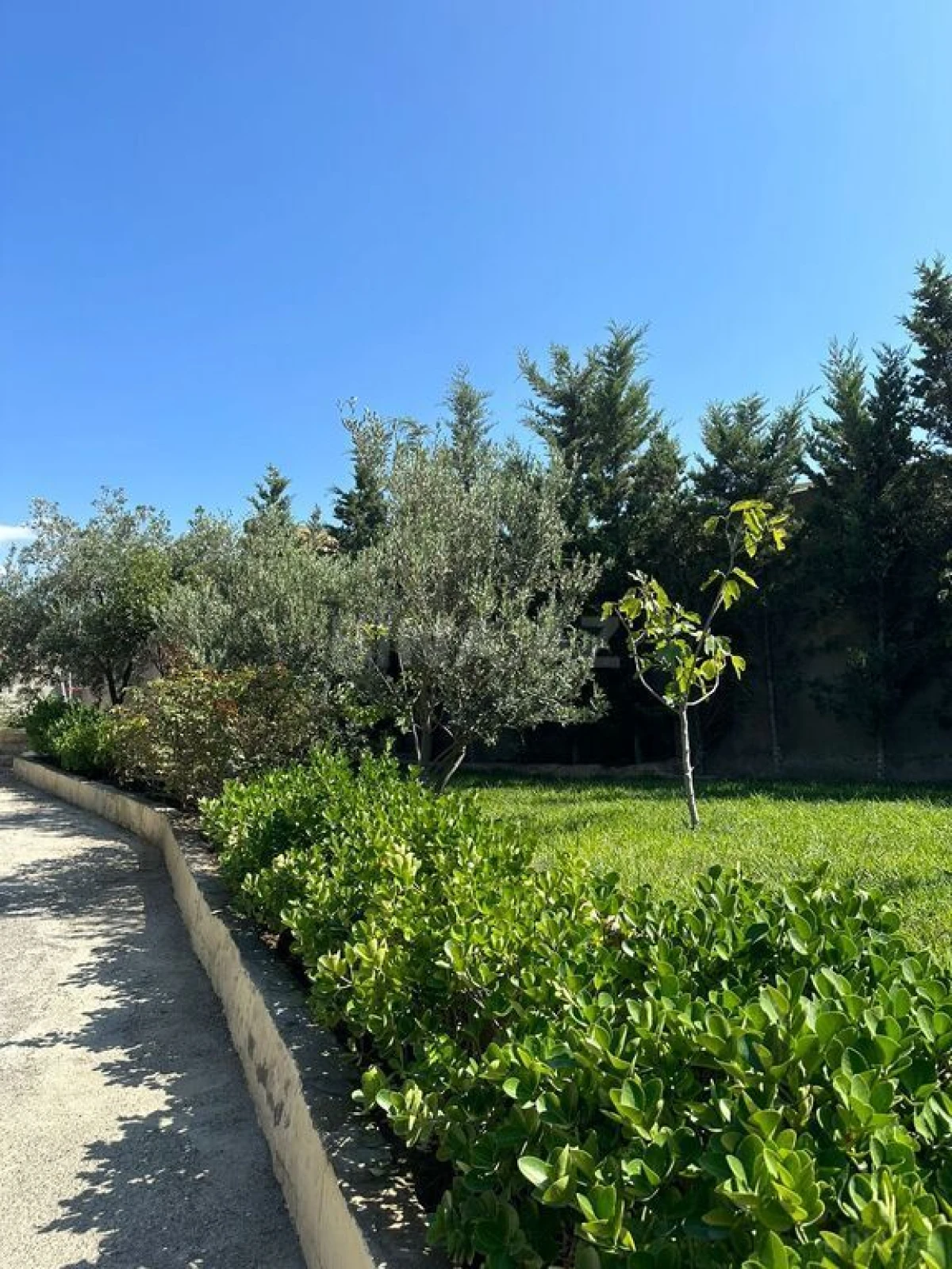 Satılır 10 otaqlı həyət evi 585 m²