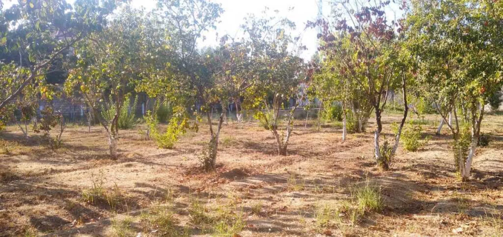 Satılır torpaq sahəsi 22 m²