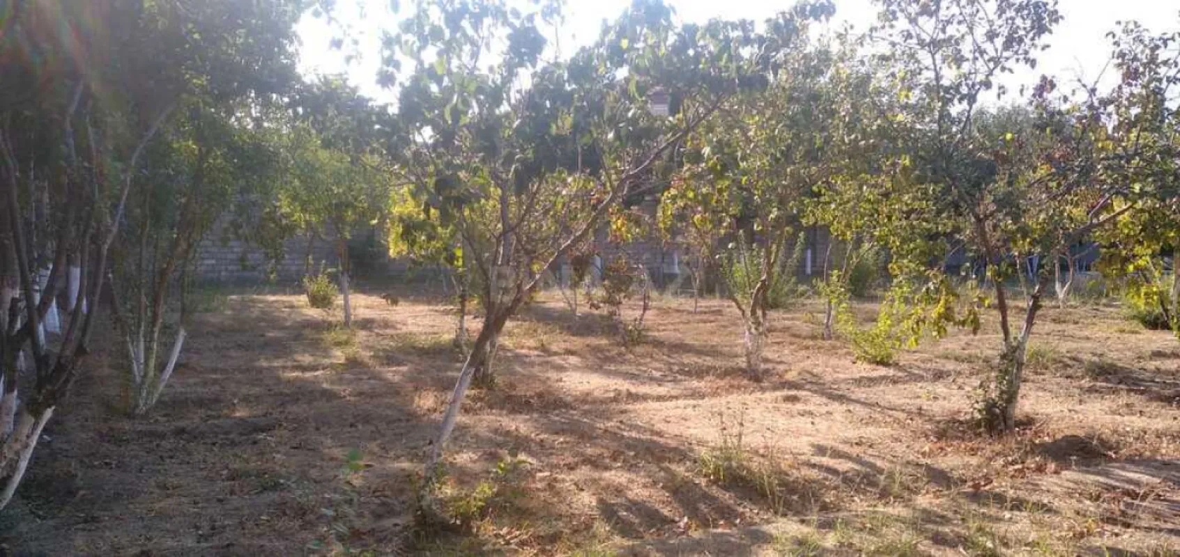 Satılır torpaq sahəsi 22 m²