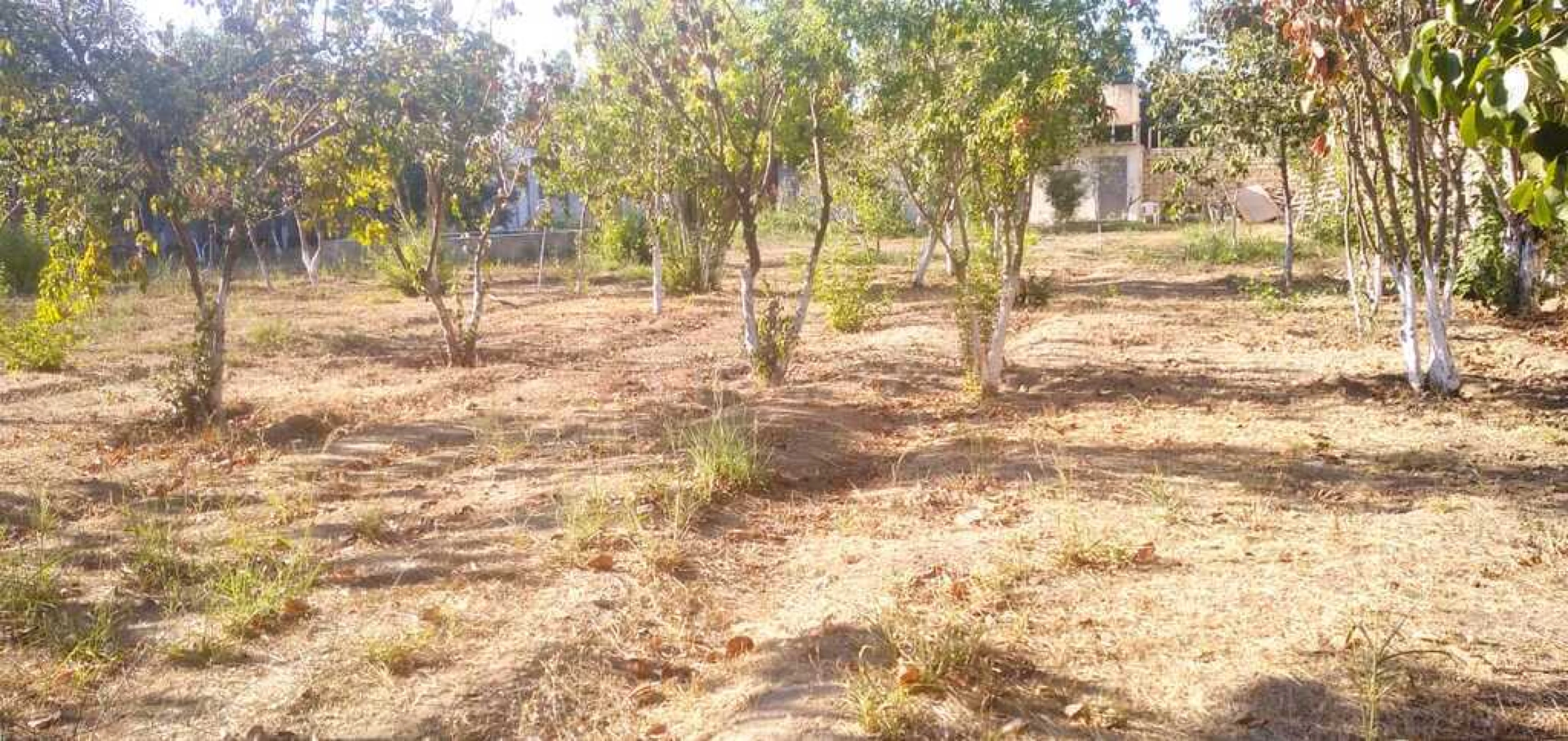 Satılır torpaq sahəsi 22 m²