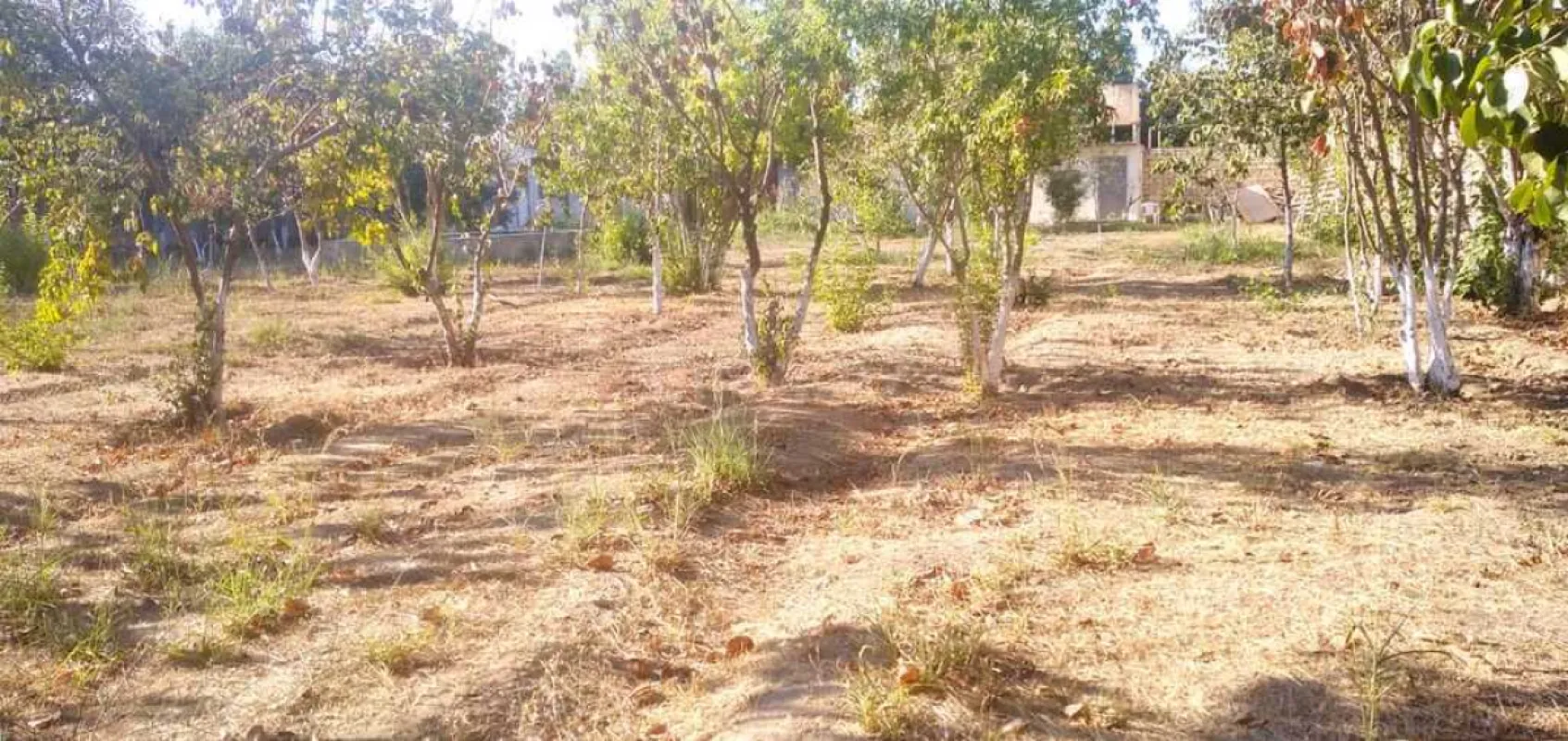 Satılır torpaq sahəsi 22 m²