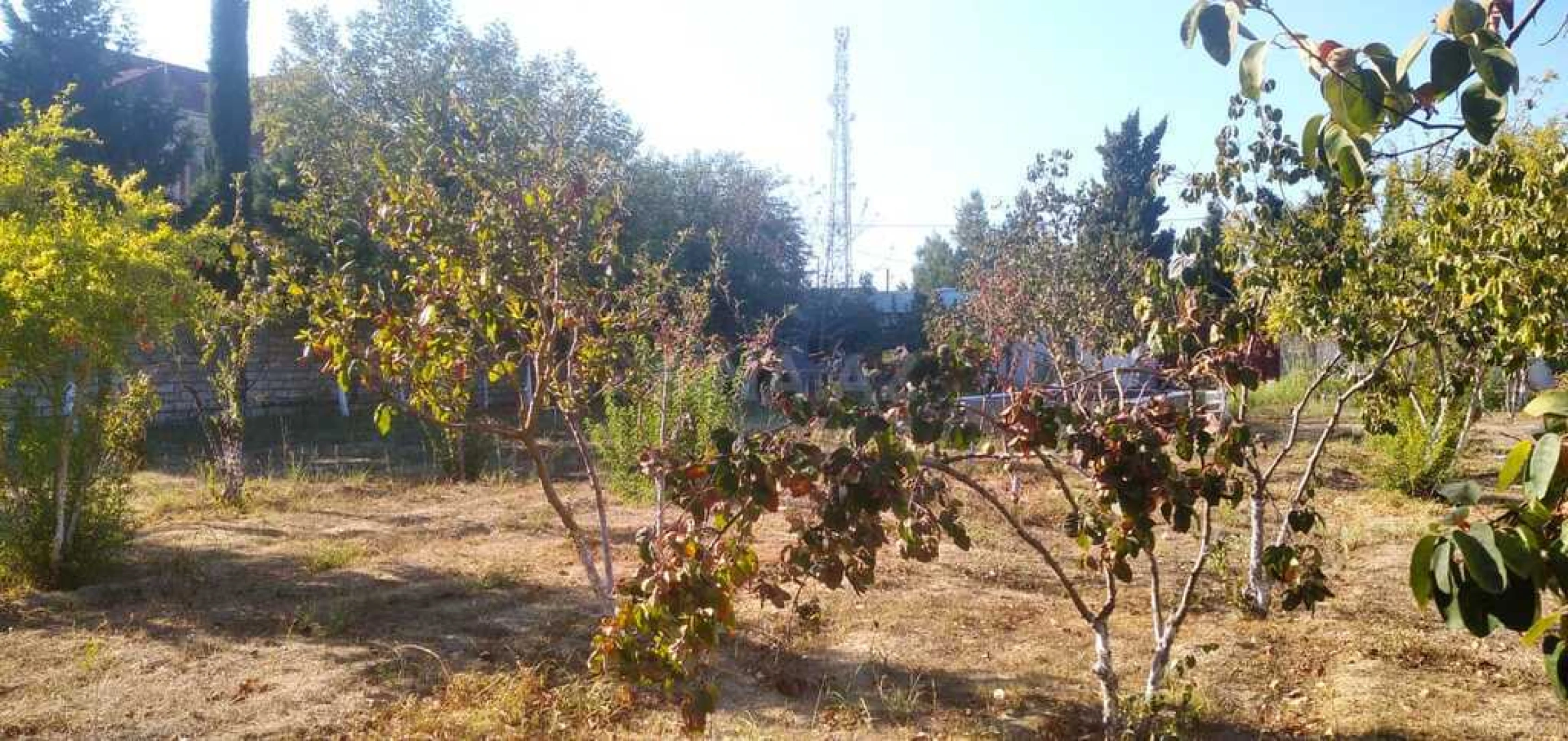 Satılır torpaq sahəsi 22 m²