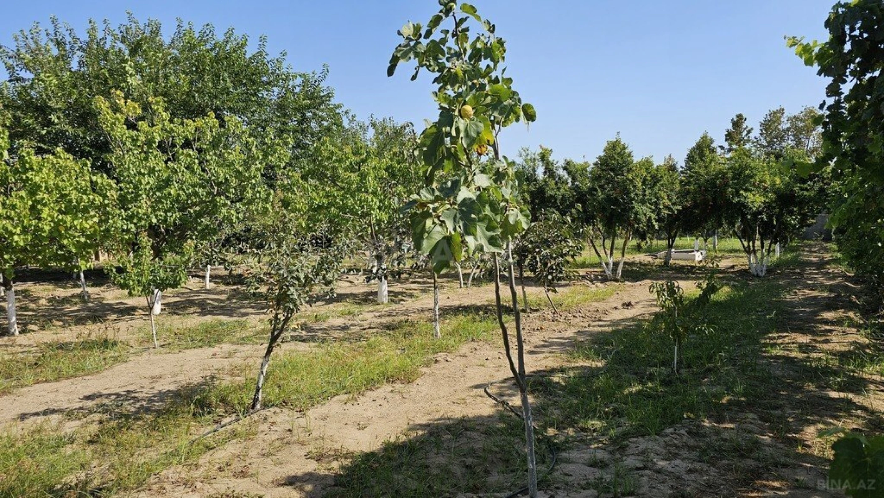 Satılır torpaq sahəsi 38 m²