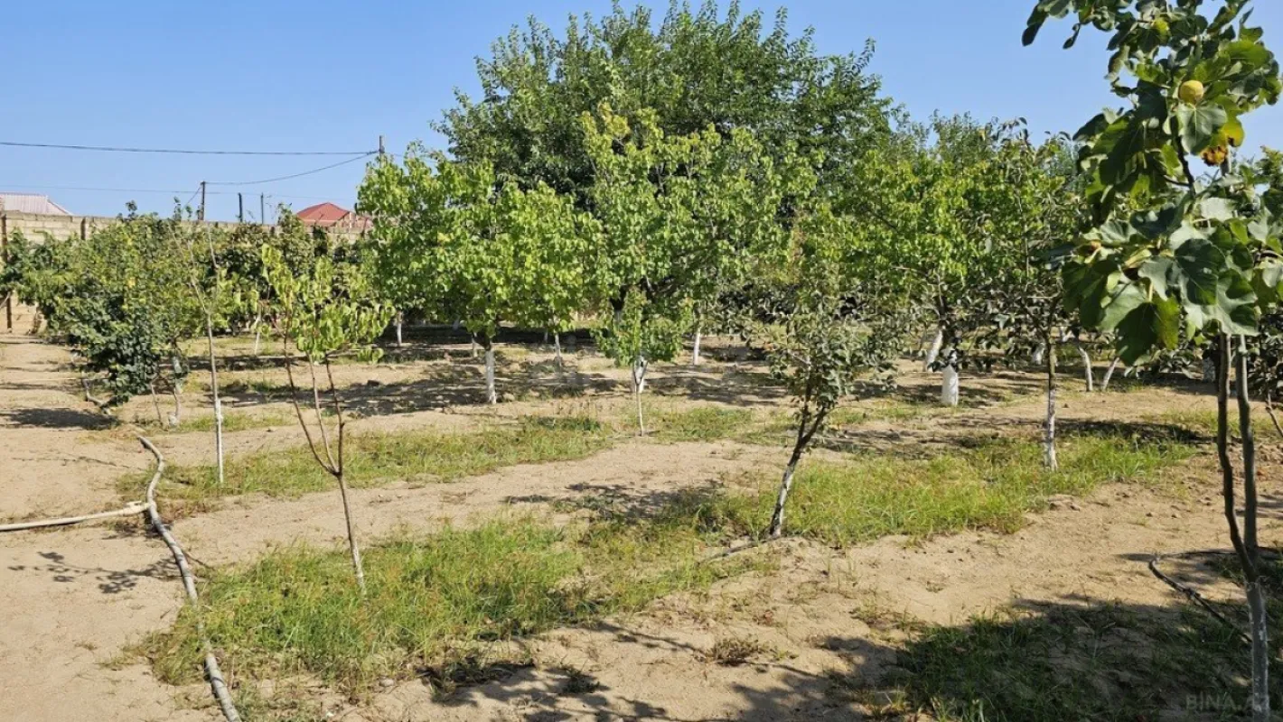 Satılır torpaq sahəsi 38 m²