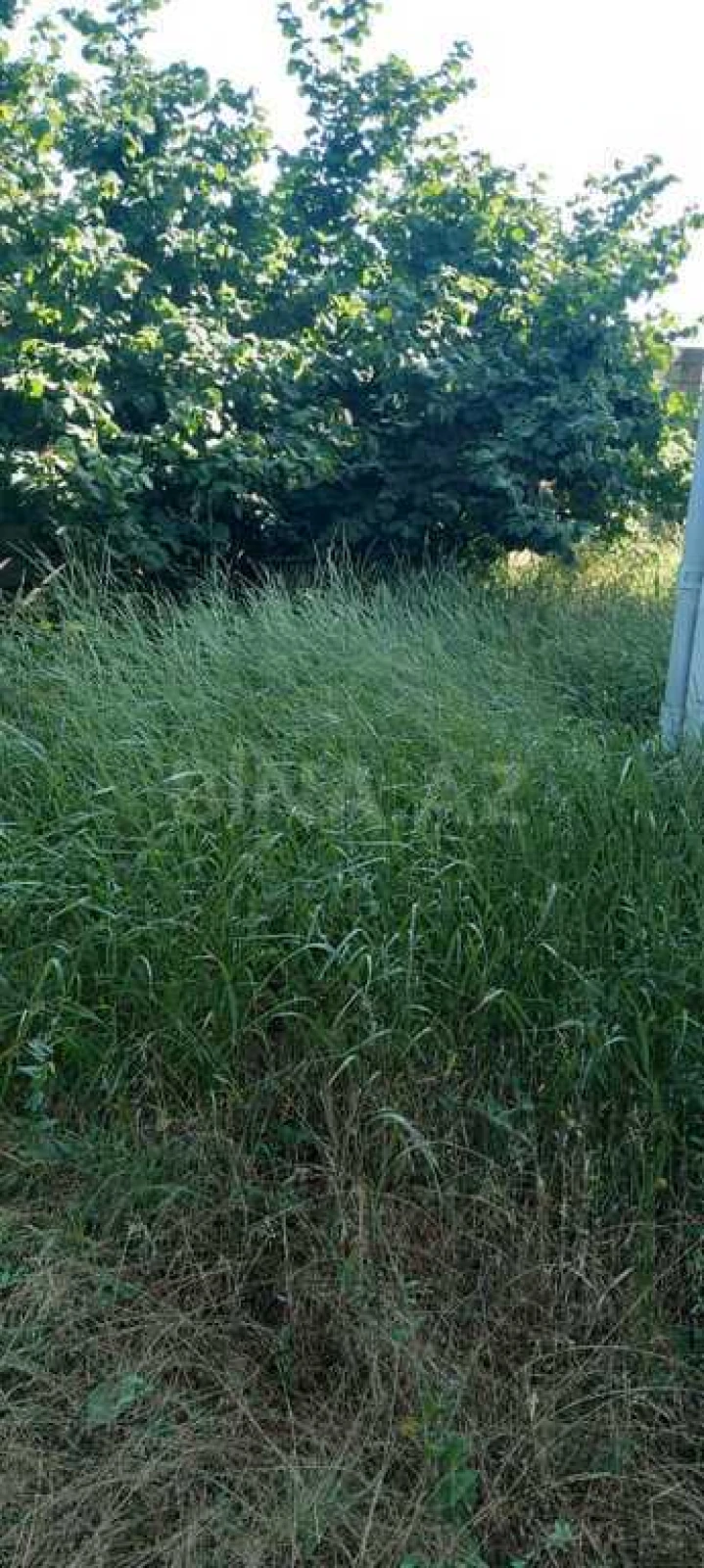 Satılır 7 otaqlı həyət evi 232 m²