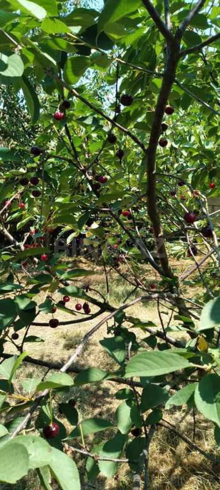 Satılır 7 otaqlı həyət evi 232 m²