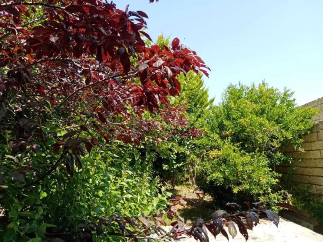 Satılır 7 otaqlı həyət evi 232 m²