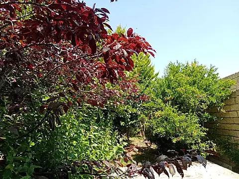 Satılır 7 otaqlı həyət evi 232 m²