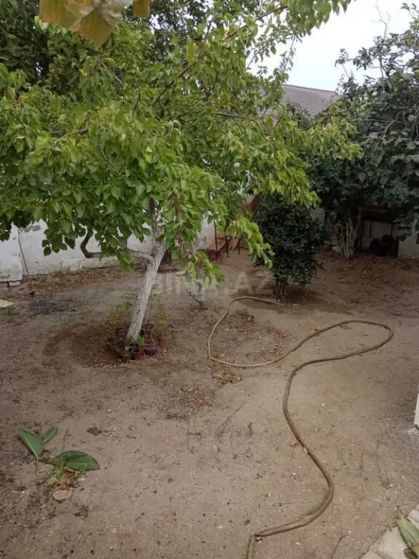 Satılır 2 otaqlı həyət evi 90 m²