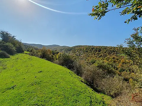 Satılır torpaq sahəsi 200 m²