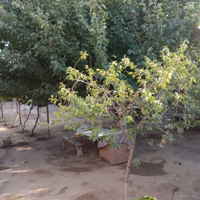 Satılır torpaq sahəsi 9 m²