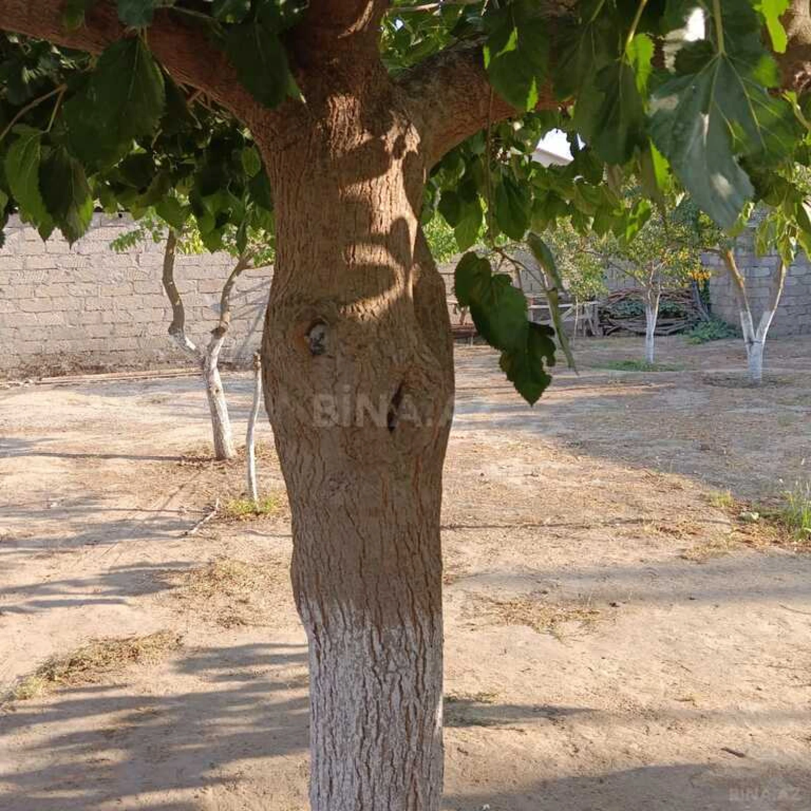 Satılır torpaq sahəsi 9 m²