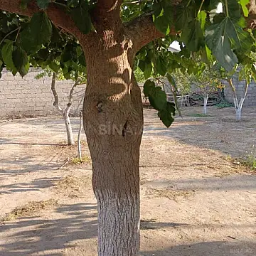 Satılır torpaq sahəsi 9 m²