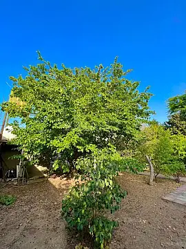 Satılır torpaq sahəsi 10 m² — Bakı, Mərdəkan 10.00 m²