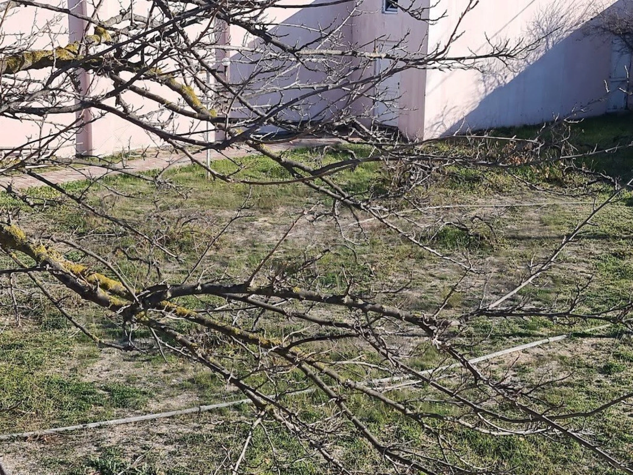 Satılır torpaq sahəsi 25 m²