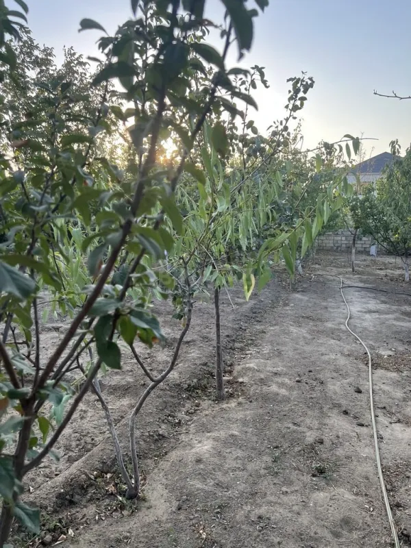 Satılır həyət evi 200 m²