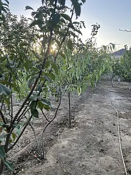 Satılır həyət evi 200 m²