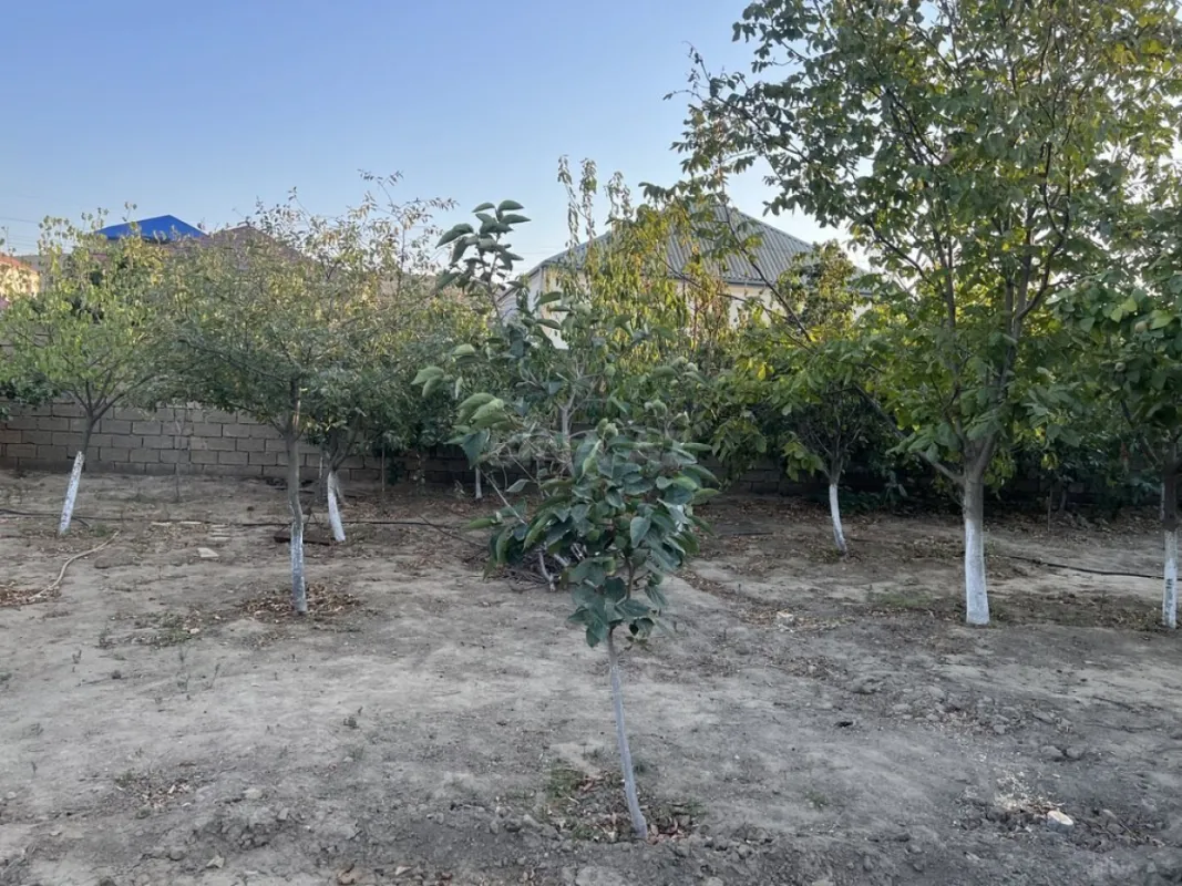 Satılır həyət evi 200 m²