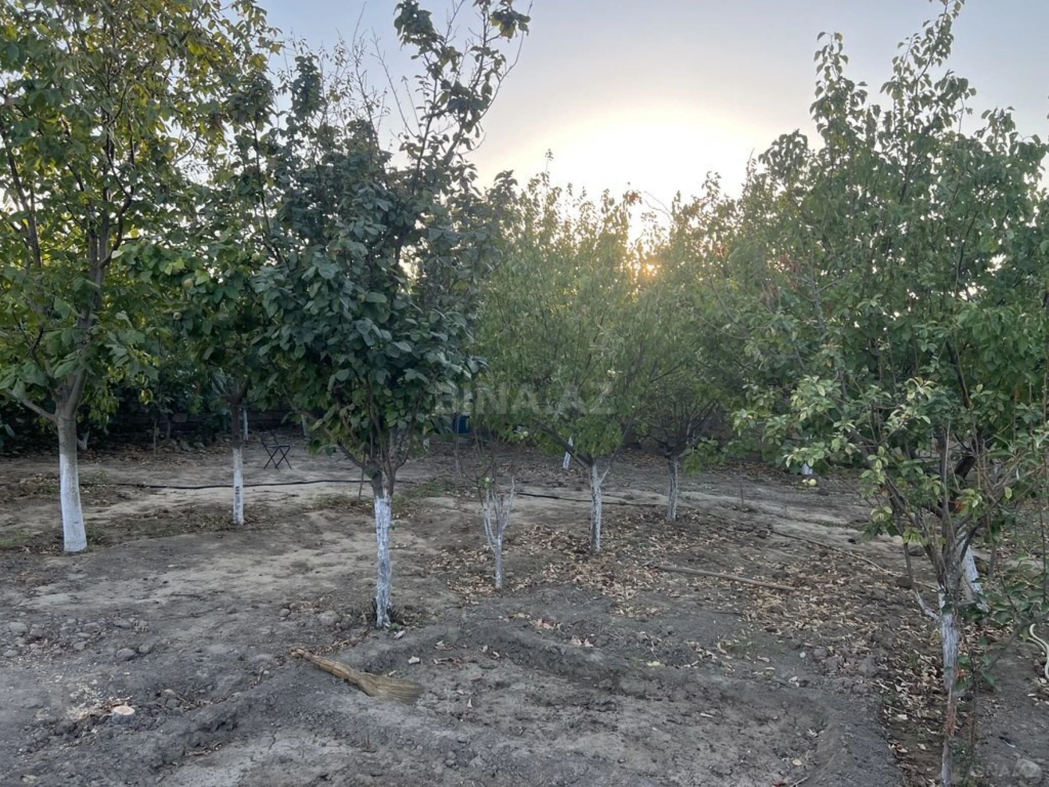 Satılır həyət evi 200 m²