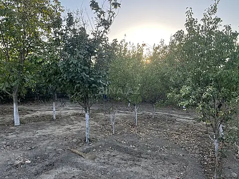 Satılır həyət evi 200 m²