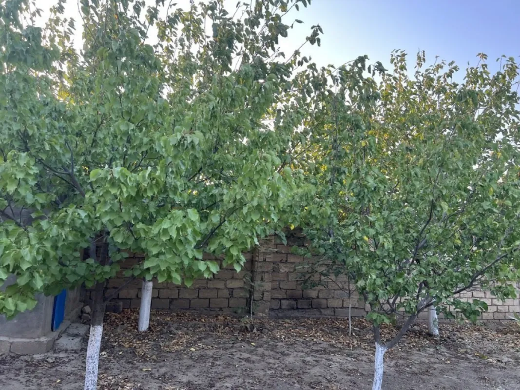 Satılır həyət evi 200 m²