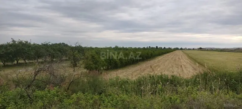 Satılır torpaq sahəsi 500 m² — Bərdə 500.00 m²