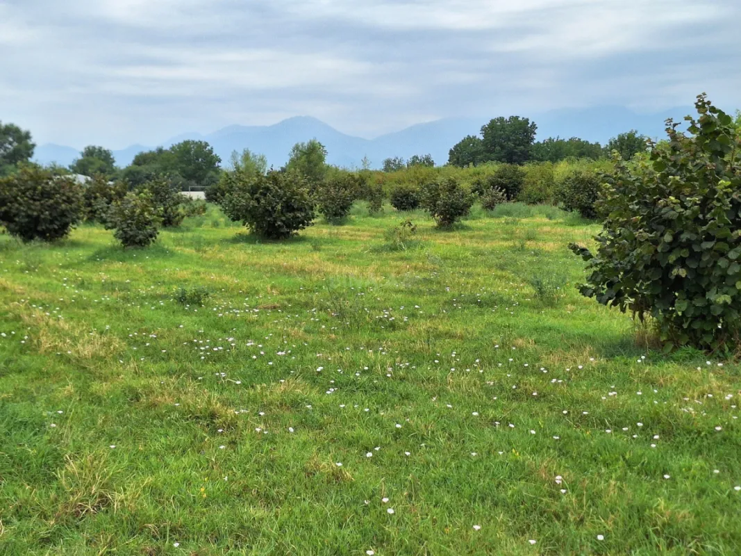 Satılır torpaq sahəsi 100 m²